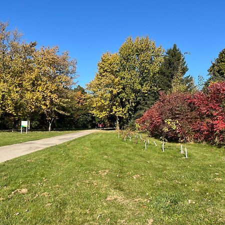 Comfort Rooms Near Toronto Airport 密西沙加 外观 照片